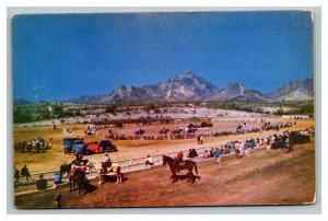 Vintage 1950's Postcard Panoramic View Bucking Broncos at the Rodeo Southwest