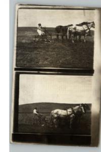 Fairbury NE Work Horses Farming c1910 Photo Postcard