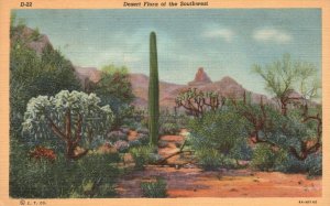 Vintage Postcard Desert Flora Southwest Vast Reaches Rugged Mountains Arizona AZ