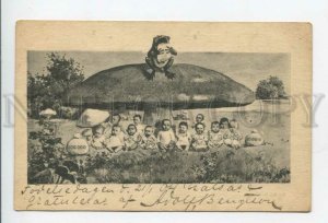 431867 Multiple Babies FROG Huge MUSHROOM Vintage postcard 1904 year