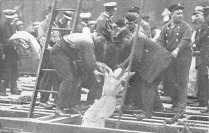 EASTLAND SHIP DISASTER REMOVING BODY OF WOMAN FROM HOLD ILLINOIS POSTCARD (1915)