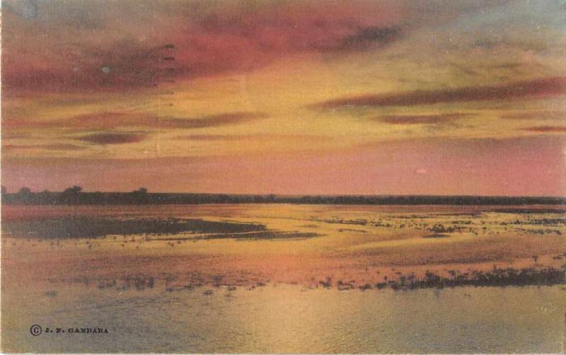 Rio Grande Texas Sunset Scene Hand Colored Antique Postcard J51402