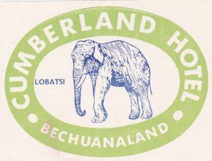 Bechuanaland Lobatsi Cumberland Green Elephant Vintage Luggage Label sk3241