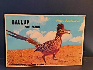 Postcard  Gallup, New Mexico, Home of Desert Roadrunner.   Z8