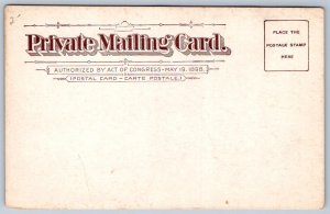 K41/ Pearl River New York Postcard c1910 The Glen Falls Waterfall 188