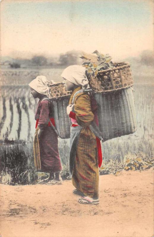 Japan Girls Carrying Baskets Rice Fields Scenic View Antique Postcard J80615