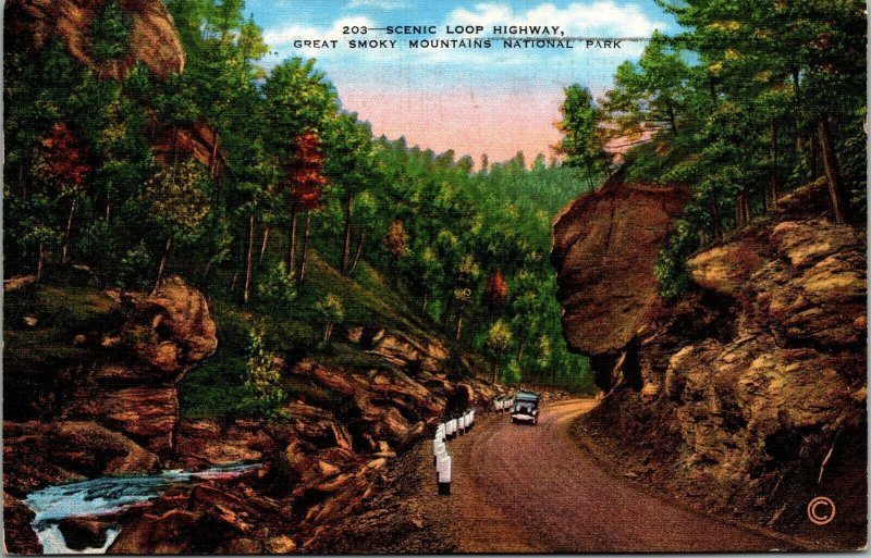 Vtg Scenic Loop Highway Great Smoky Mountains National Park Gatlinburg Postcard