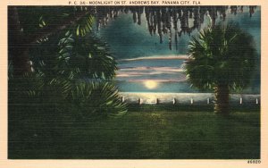 Vintage Postcard Moonlight on Saint Andrews Bay Trees Panama City Florida FL