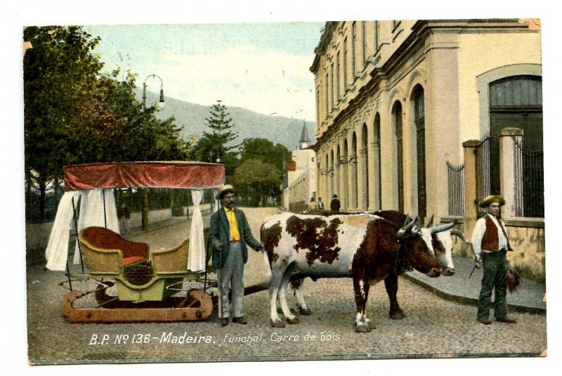 Portugal - Madeira. Funchal, Ox Cart