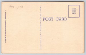 Black Hills SD~Mount Coolidge Observatory~Vintage Linen Postcard