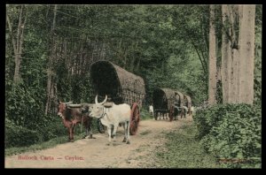 Bulloch (Bullock) Carts--Ceylon. Vintage postcard