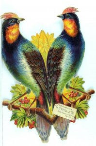 1880's Parrots Colorful Birds H.O'Neill & Co. NY Victorian Die Cut Trade Card *N