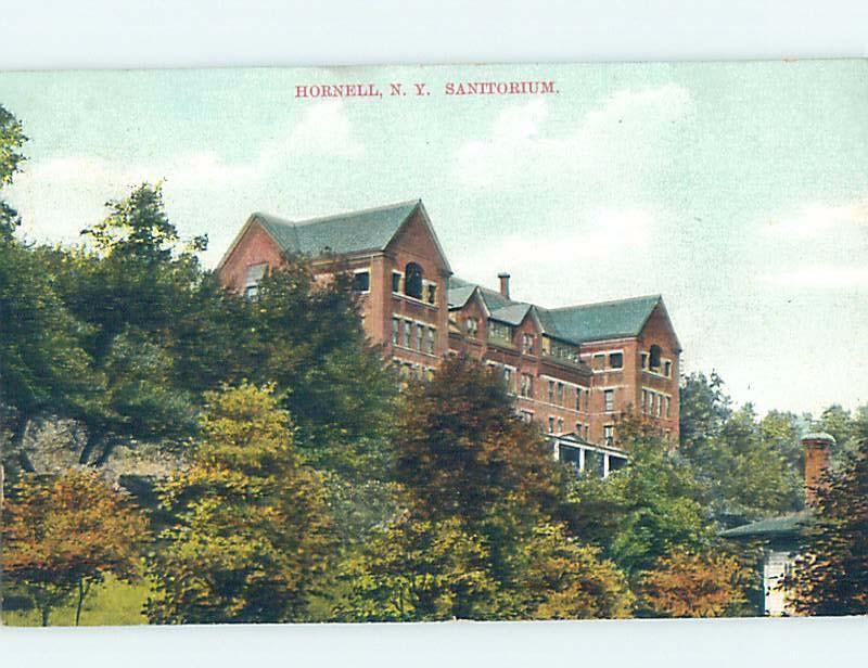 Divided-Back SANATORIUM BUILDING Hornell New York NY G2277