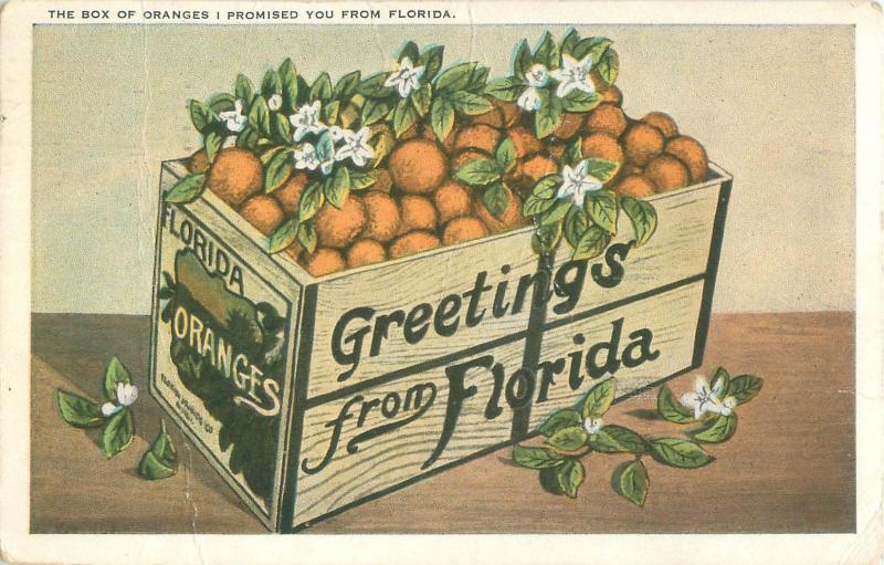 Greetings from Florida Box of Oranges I Promised You  1925 Postcard