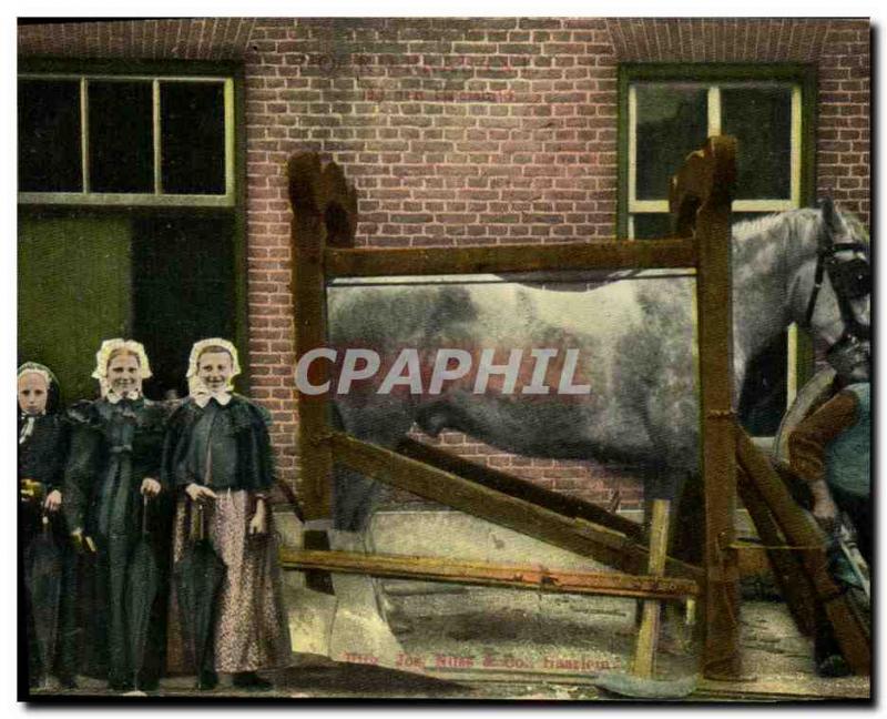 Vintage Postcard Horse Horsemanship Haarlem Equestrian sport