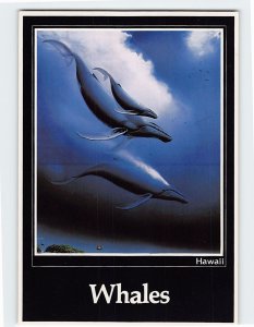 Postcard Whales, Hawaii