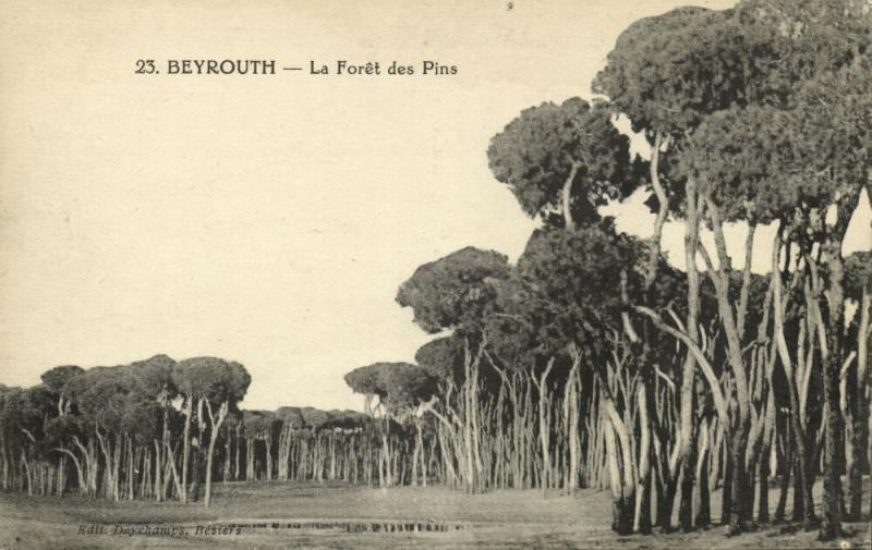 lebanon, BEIRUT BEYROUTH, La Forêt des Pins, Pine Forest (1920) Deychamps Nr. 23