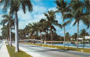 BT15589 Las olas boulevard in fort lauderdale        USA   Florida