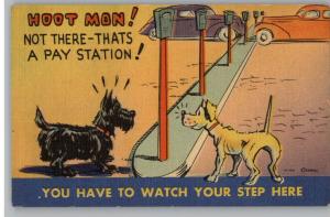 Comic Linen Postcard-Watch Your Step..Dogs..Meters-MWM