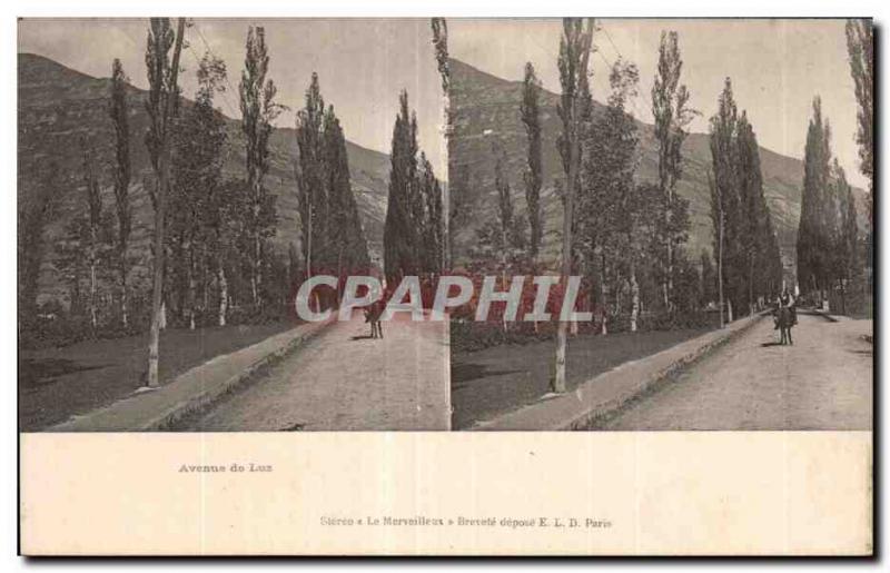 Stereoscopic Card - Avenue de Luz - Old Postcard