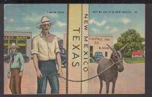 I am in Texas but My Ass is in New Mexico - LINEN