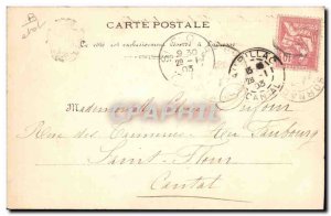 Old Postcard flowers Dried Seaweed