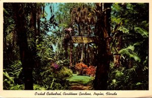 Florida Naples Caribbean Gardens Orchid Cathedral 1967