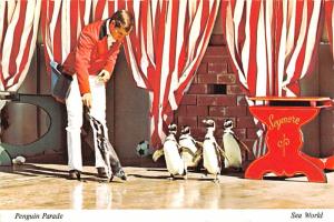 Sea World, California - Penguinn Parade