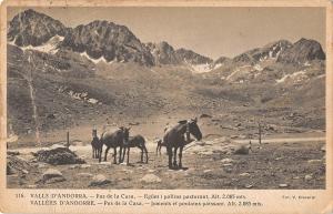 BR46384 Valls d andorra pas de la casa horse chaveaux  Andorra