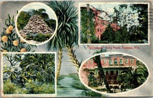 Glimpses City Park, Tampa, Florida Postcard multi view, gardens 1911