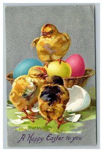 Vintage 1909 Tuck's Easter Postcard - Cute Chick Hatching Colored Eggs NICE