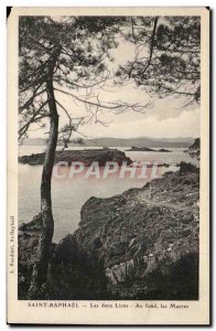 Saint Raphael - The Two Lions Au Fond The Moors Old Postcard