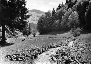 BG29253 vessertal thur wald   germany   CPSM 14.5x10cm