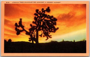 Joshua Tree Silhouetted Against A Desert Sunset Postcard