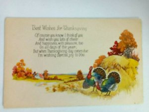 Best Wishes for Thanksgiving Holiday Turkey & Farm Scene Vintage Postcard