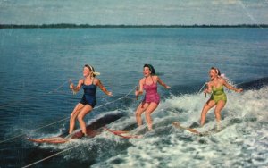 Vintage Postcard 1959 Ladies Ski-Boarding Water Adventure Florida H.S. Crocker