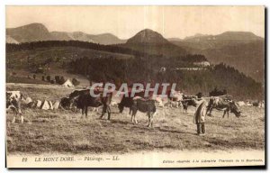 Old Postcard Le Mont Dore Berger Pasture Cows