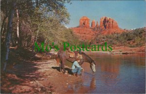 America Postcard - Baldwin's Crossing, Oak Creek Canyon, Arizona RS25658