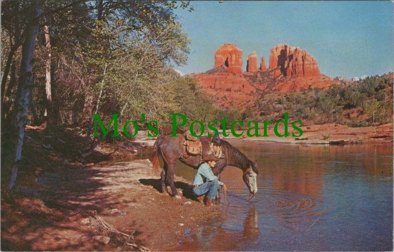 America Postcard - Baldwin's Crossing, Oak Creek Canyon, Arizona RS25658