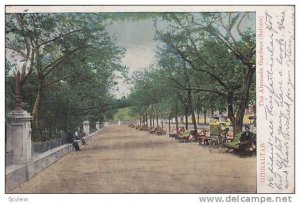 The Alameda Gardens (Saloon), Gibraltor, PU-1906
