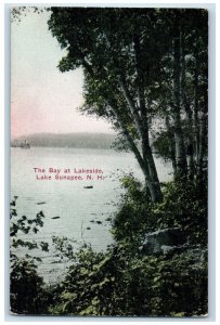 c1920's The Bay At Lakeside Lake Sunapee New Hampshire NH Unposted Tree Postcard