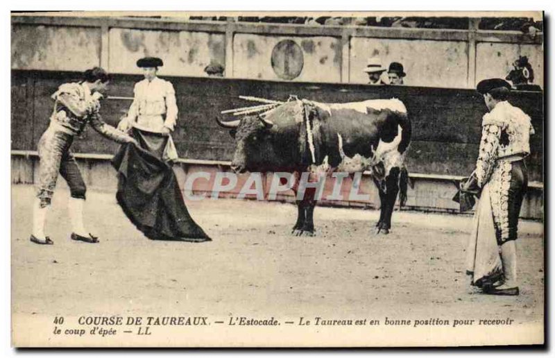 Old Postcard Bullfight Bullfight L & # 39estocade The bull is in good positio...