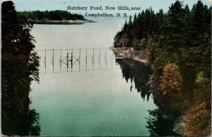 Hatchery Pond New Mills near Campbellton NB New Brunswick RPO Postcard H12