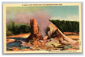 Vintage 1940's Postcard Giant Geyser Cone Yellowstone National Park Wyoming