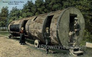 Spruce Log, Palmer Park in Detroit, Michigan