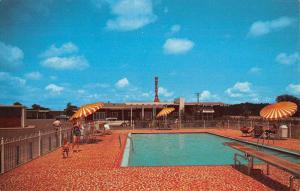 Meridian Mississippi Nelva Courts Pool View Vintage Postcard K73386