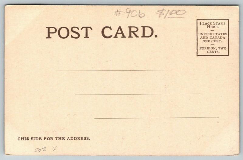 Springfield IL~Sixth Street @ Washington~Boston Department Store~Tea Shop~c1905