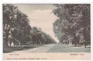 North Street Scene Litchfield Connecticut 1905c postcard