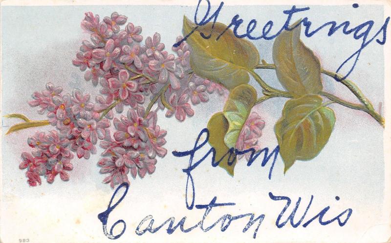 Canton Wisconsin~Purple Lavender Lilacs Greetings~Embossed~1910 Postcard 