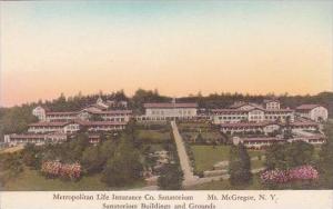 New York Mount Mcgregor Metroplitan Life Insurance Co 